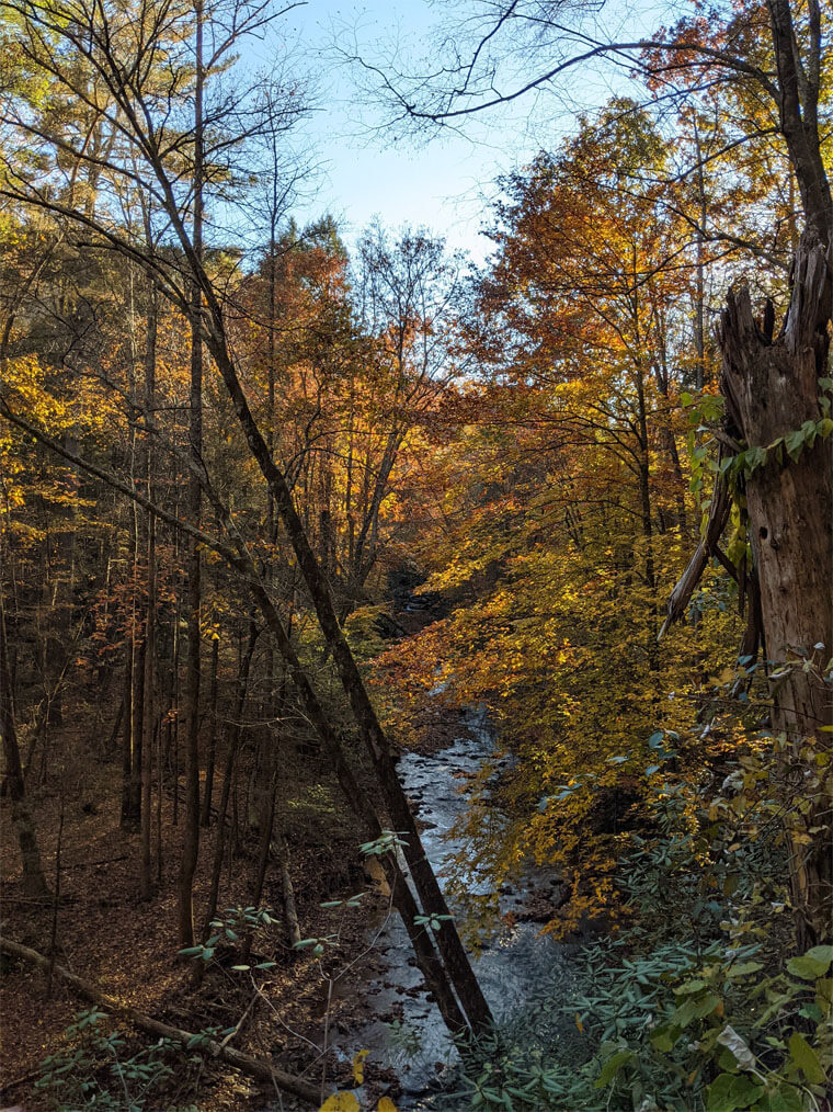 Asheville In Autumn